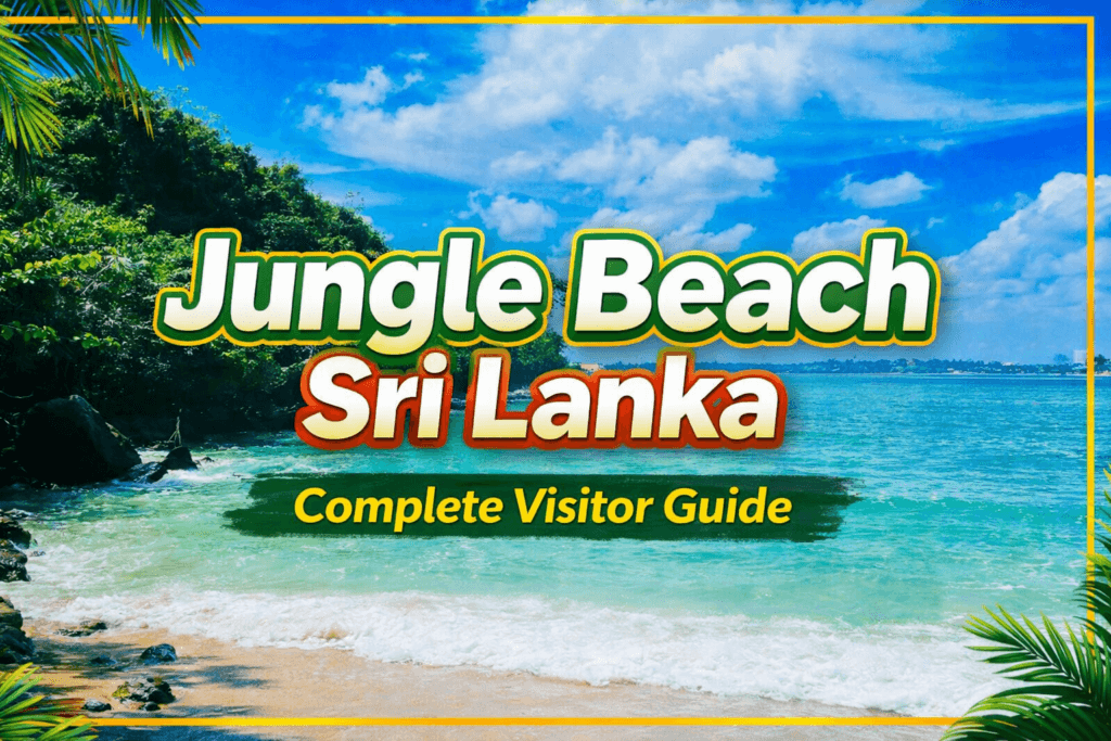 Jungle Beach Featured Image