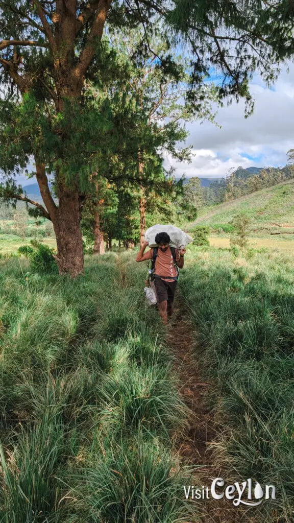 A dirt road leading to a campsite in a natural setting