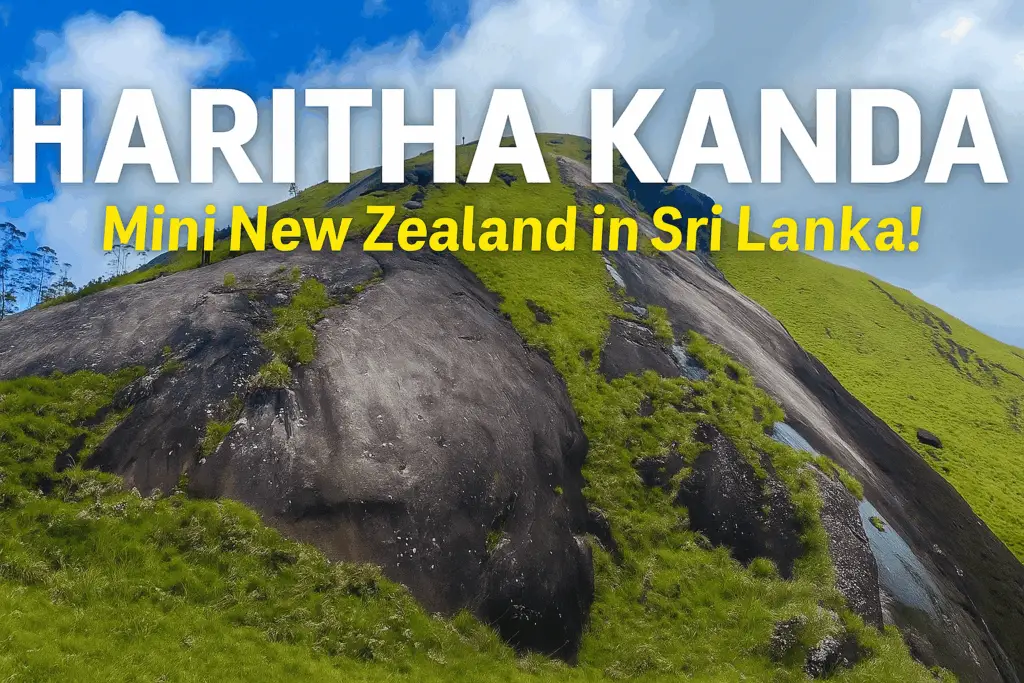 Haritha Kanda Featured image