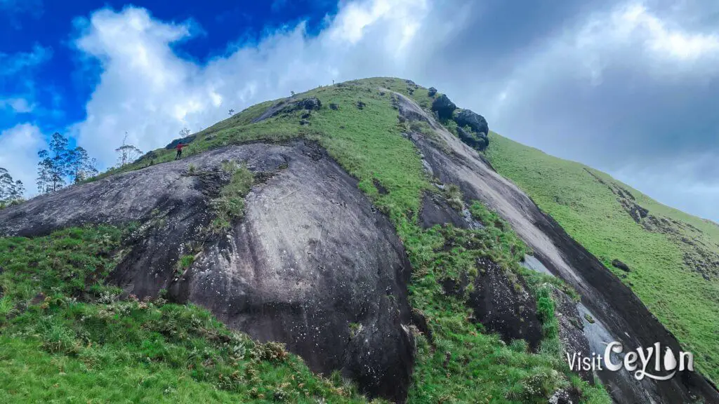 The lush, green landscape of Haritha Kanda (Green Mountain) in Sri Lanka