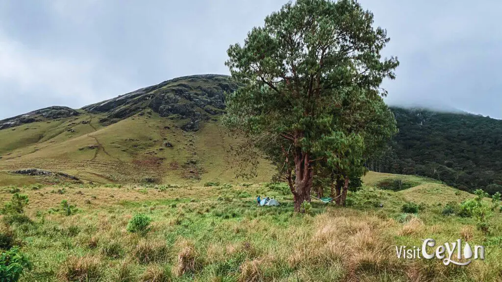 A campsite at the base of Haritha Kanda, a famous camping destination in Sri Lanka