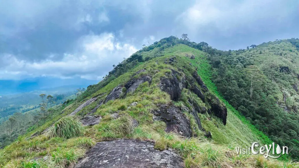 A panoramic view from the top of Haritha Kanda mountain, also known as Bopaththalawa Peak