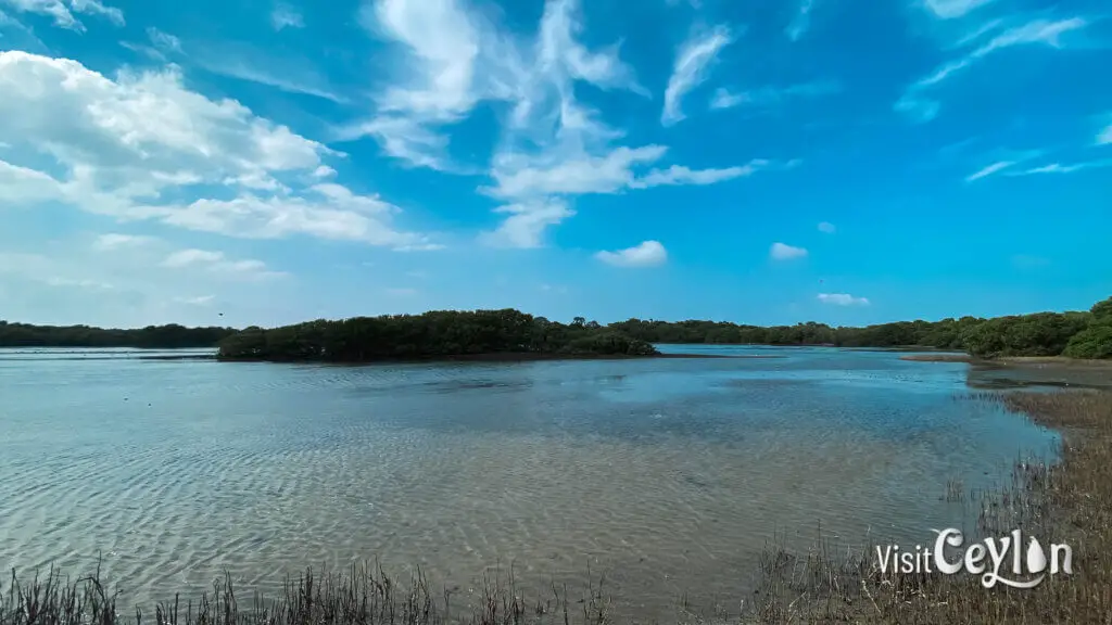 View of Baththalangunduwa Island Kalapu area with sandy beaches and clear waters.