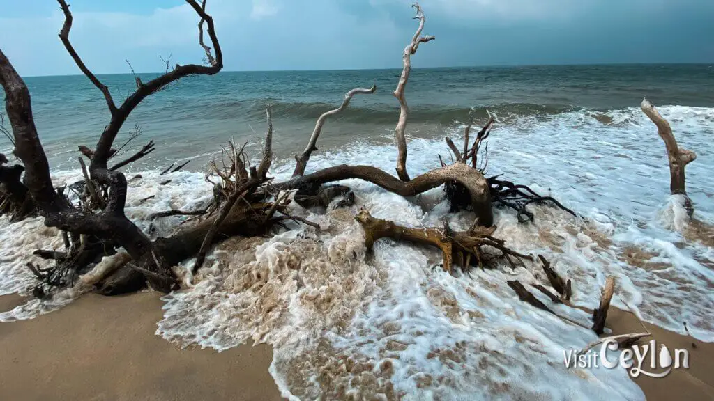 Scenic view of Baththalangunduwa Beach with clear blue water, soft sand, and peaceful island surroundings.
