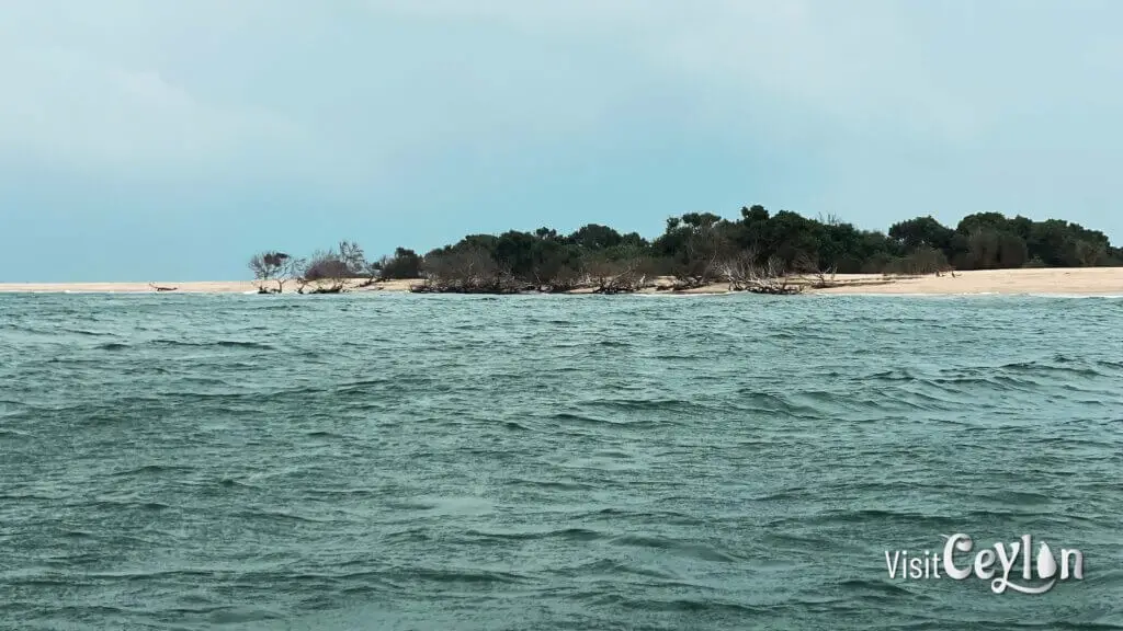 Scenic view of Paramuni Island surrounded by turquoise waters.