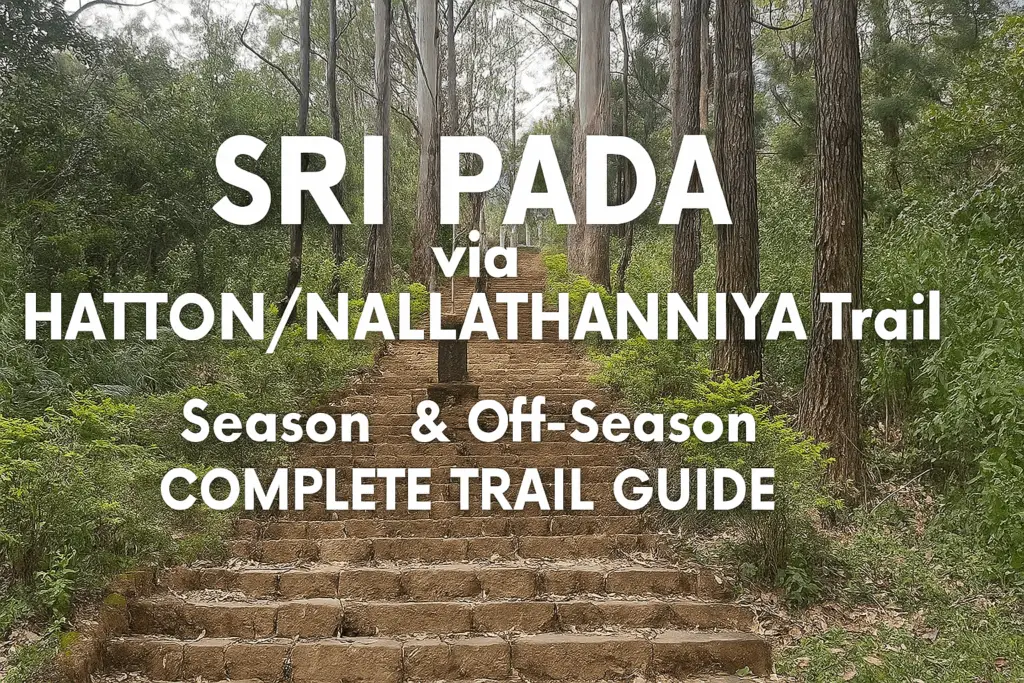 View of Sri Pada mountain from the Hatton (Nallathanniya) route with surrounding forest.