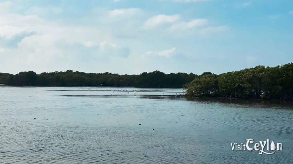 Scenic view of Baththalangunduwa Kalapu area with lush greenery and coastline.