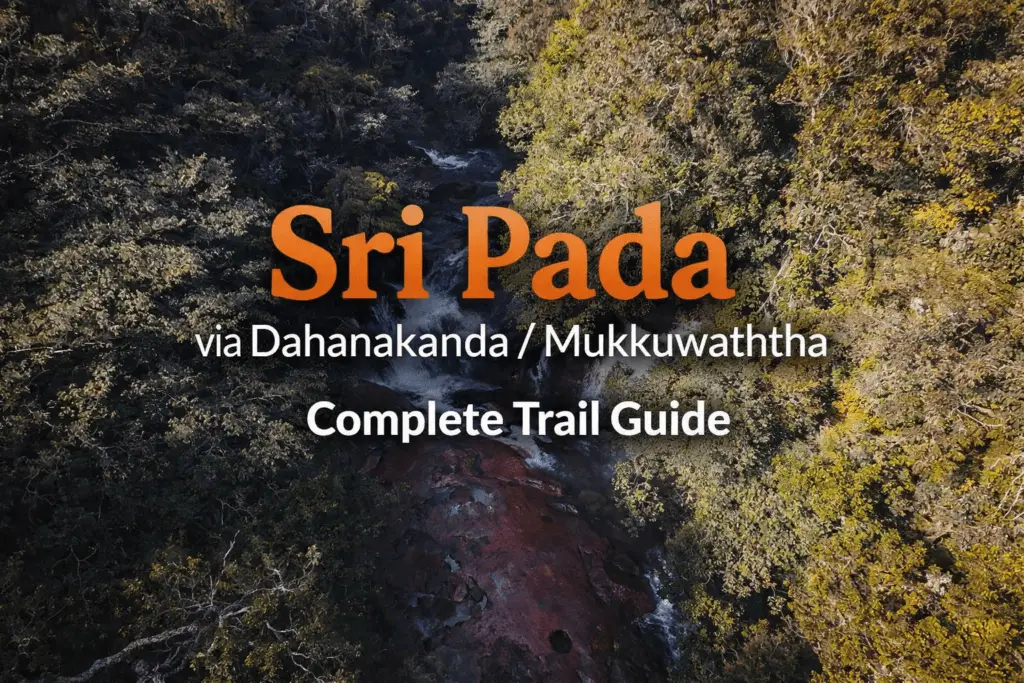 Dahanakanda Mukkuwaththa trail surrounded by dense forest.