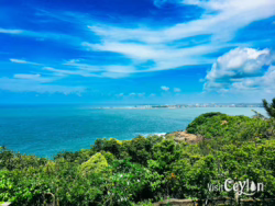 Overview of Jungle Beach, Sri Lanka. Photo by Sameera Marapperuma Overview of Jungle Beach in Sri Lanka with lush greenery and serene coastline.