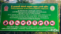 Protect Sri Pada sign board – Photo by Sameera Marapperuma Protect Sri Pada sign board displayed along the mountain trail.