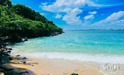 The beauty of Mini Jungle Beach, Sri Lanka. Photo by Sameera Marapperuma. The beauty of Mini Jungle Beach in Sri Lanka with crystal-clear waters and lush greenery.