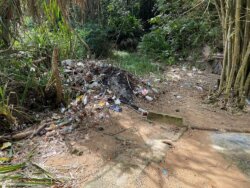 Jungle Beach filled with trash, Sri Lanka. Photo by Poul, Jungle Beach in Sri Lanka littered with trash