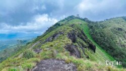 The breathtaking view from the top of Haritha Kanda, captured by Sameera Marapperuma on 2025.08.30 at 11.28am A panoramic view from the top of Haritha Kanda mountain, also known as Bopaththalawa Peak