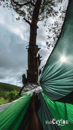 A photo of a serene hammock experience at the famous Bopaththalawa campsite, taken by Sameera Marapperuma on 2025.08.30 at 7.23am A person relaxing in a hammock at the famous Bopaththalawa campsite.