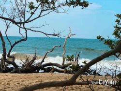 Baththalangunduwa campsite beach view – Photo by Sameera Marapperuma Beach view at Baththalangunduwa campsite with sandy shore and calm ocean waters.