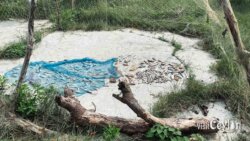 Fish drying at the beach – Photo by Sameera Marapperuma Fish drying under the sun on the beach, laid out on mats.