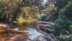 Baththalu Oya near Paradise Falls – Photo by Sameera Marapperuma Baththalu Oya flowing near Paradise Falls surrounded by greenery.