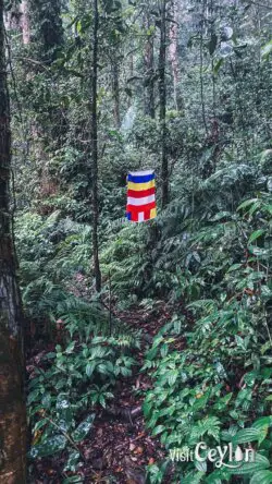 Buddhist flags marking the trail path – Photo by Sameera Marapperuma Buddhist flags marking the trail path along the Sri Pada route.