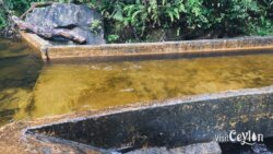 Clean pure natural water for a refreshing bath – Photo by Sameera Marapperuma Clean and pure natural water flowing in the river, ideal for a refreshing bath.