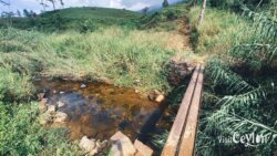 Small bridge on the way to trail head surrounded by tea plantations – Photo by Sameera Marapperuma Small bridge on the way to Dahanakanda Mukkuwaththa Sri Pada trail head, surrounded by lush tea plantations.