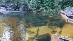 Perfect spot for a refreshing bath – Photo by Sameera Marapperuma Perfect natural spot by the river for a refreshing bath surrounded by greenery.