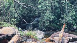 Rath Ganga river surrounded by forest – Photo by Sameera Marapperuma Rath Ganga river flowing through dense forest.