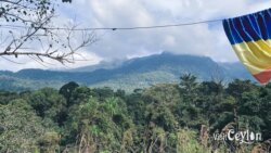 Sri Pada seen from the trail head – Photo by Sameera Marapperuma View of Sri Pada mountain from the Dahanakanda Mukkuwaththa trail head.