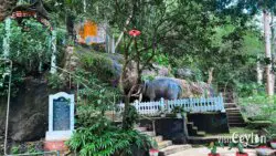 Starting point of the final stage of the path to Batathota Lena (Batathota Cave), Kuruwita
📷 Photo Credit: Sameera Marapperuma | Visit Ceylon Starting point of the final stage of the path leading to Batathota Lena cave near Kuruwita, Sri Lanka.