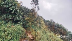 Dahanakanda Mukkuwaththa trail exit – Photo by Sameera Marapperuma Exit point of the Dahanakanda Mukkuwaththa Sri Pada trail surrounded by forest.