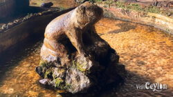 Frog statue inside Batathota Lena (Batathota Cave) temple, Kuruwita
📷 Photo Credit: Sameera Marapperuma | Visit Ceylon Frog statue located inside Batathota Lena cave temple near Kuruwita, Sri Lanka.