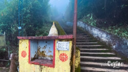 Indikatupana trail starting point – Photo by Sameera Marapperuma Starting point of the Indikatupana trail near Sri Pada.