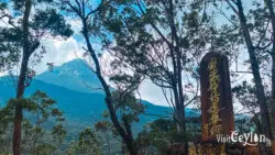 Japanese sign post with Sri Pada view – Photo by Sameera Marapperuma Japanese sign post with a clear view of Sri Pada mountain in the background.