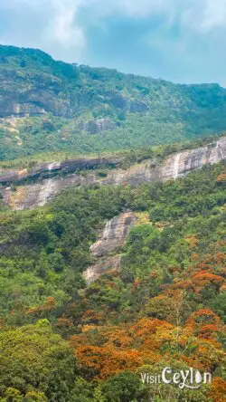 Waterfalls around Sri Pada during off season – Photo by Sameera Marapperuma Multiple waterfalls flowing around Sri Pada mountain during the off season.