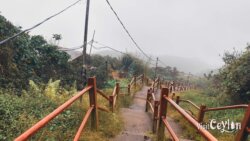 Connection point between Dahanakanda Mukkuwaththa trail and Ratnapura route – Photo by Sameera Marapperuma Connection point between Dahanakanda Mukkuwaththa Sri Pada trail and the Ratnapura route.