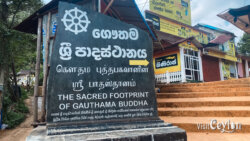 Sri Pada Hatton Nallathanniya route entrance – Photo by Sameera Marapperuma Entrance to the Sri Pada Hatton Nallathanniya route used by pilgrims.