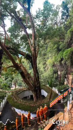 Scenic view from inside Batathota Lena (Batathota Cave), Kuruwita
📷 Photo Credit: Sameera Marapperuma | Visit Ceylon Scenic view from inside Batathota Lena cave overlooking the forest near Kuruwita, Sri Lanka.