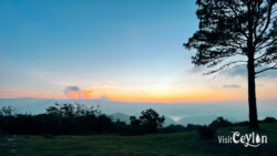 Stunning sunset view at Wawathanna camping site, Sri Lanka
📷 Photo Credit: Sameera Marapperuma | Visit Ceylon Amazing sunset view at Wawathanna camping site with warm colors over hills and reservoir, Sri Lanka.