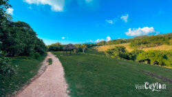 Scenic landscape view of Wawathanna camping site, Sri Lanka
📷 Photo Credit: Sameera Marapperuma | Visit Ceylon Beautiful landscape view of Wawathanna camping site with hills, greenery, and open sky, Sri Lanka.