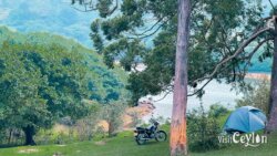 Best camping spot at Wawathanna camping site, Sri Lanka
📷 Photo Credit: Sameera Marapperuma | Visit Ceylon Best camping spot at Wawathanna surrounded by greenery and scenic hills, Sri Lanka.