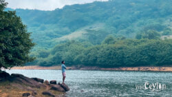Relaxing moment at the edge of Wawathanna Reservoir, Sri Lanka
📷 Photo Credit: Sameera Marapperuma | Visit Ceylon Person sitting at the edge of Wawathanna Reservoir enjoying the calm nature and scenic view, Sri Lanka.