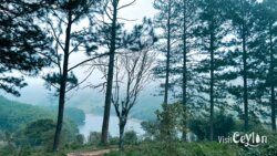 Beautiful morning view at Wawathanna camping site, Sri Lanka
📷 Photo Credit: Sameera Marapperuma | Visit Ceylon Morning view of Wawathanna camping site with soft sunlight over hills and forest, Sri Lanka.