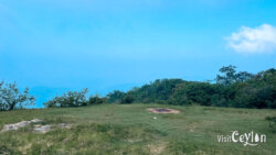 Nice camping spot near the cabana house at Wawathanna, Sri Lanka
📷 Photo Credit: Sameera Marapperuma | Visit Ceylon Nice camping spot near the cabana house at Wawathanna surrounded by grass and hills, Sri Lanka.