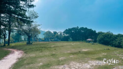 Playground area at Wawathanna camping site, Sri Lanka
📷 Photo Credit: Sameera Marapperuma | Visit Ceylon Playground area at Wawathanna camping site, surrounded by natural scenery, Sri Lanka.
