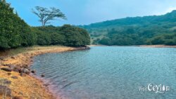 Left side view of Wawathanna Reservoir, Sri Lanka
📷 Photo Credit: Sameera Marapperuma | Visit Ceylon Left side view of Wawathanna Reservoir with calm water and surrounding hills, Sri Lanka.