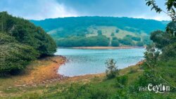 Beautiful view of Wawathanna Reservoir, Sri Lanka
📷 Photo Credit: Sameera Marapperuma | Visit Ceylon Scenic view of Wawathanna Reservoir surrounded by hills and natural greenery, Sri Lanka.